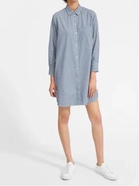 Everlane Cotton Shirt Dress Blue White Stripes Long Sleeve size 4